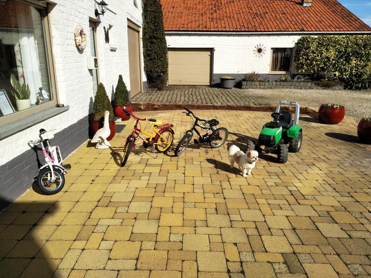 B&B Het Polderhof ヤブベーケ エクステリア 写真