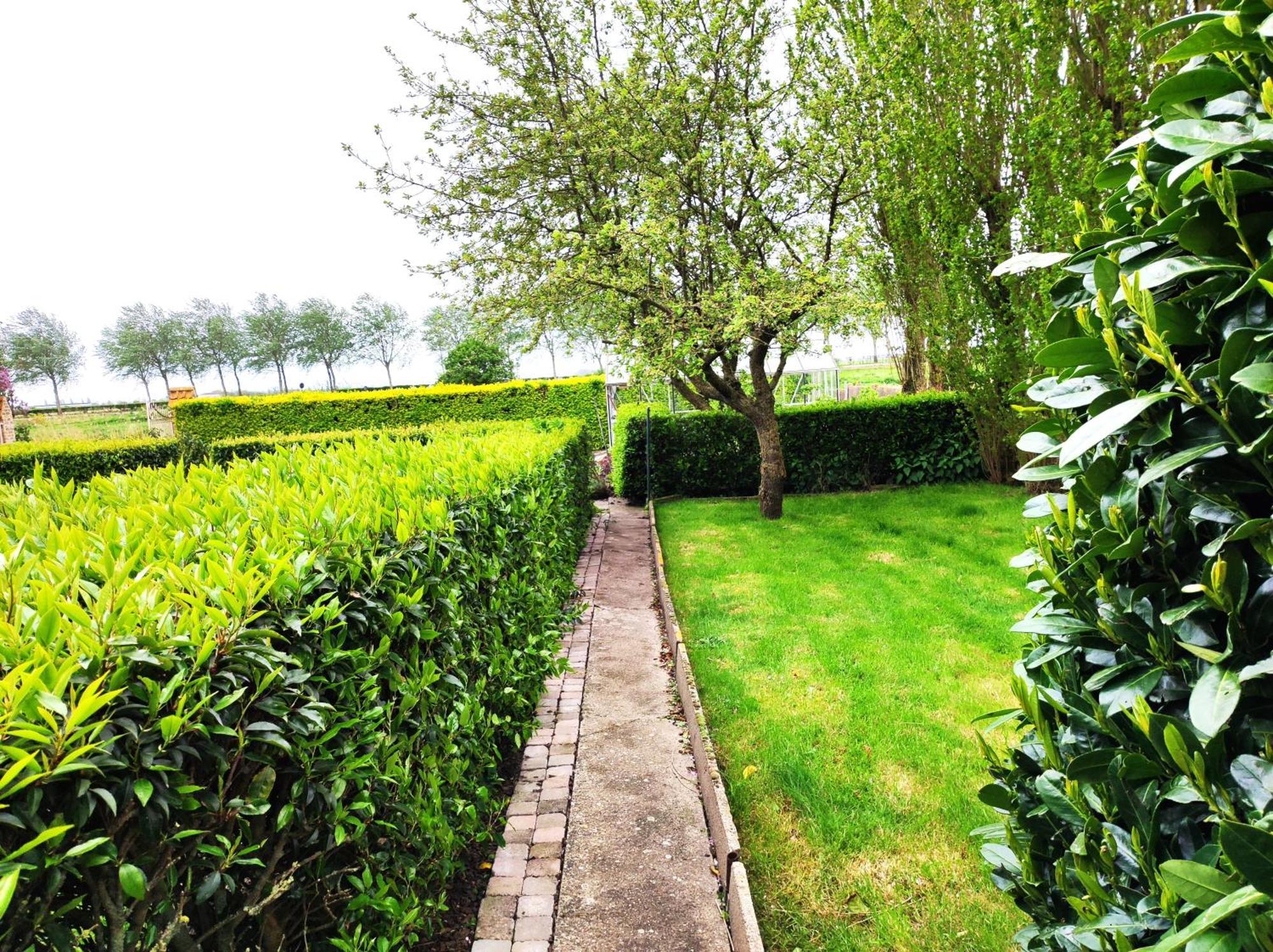 B&B Het Polderhof ヤブベーケ エクステリア 写真